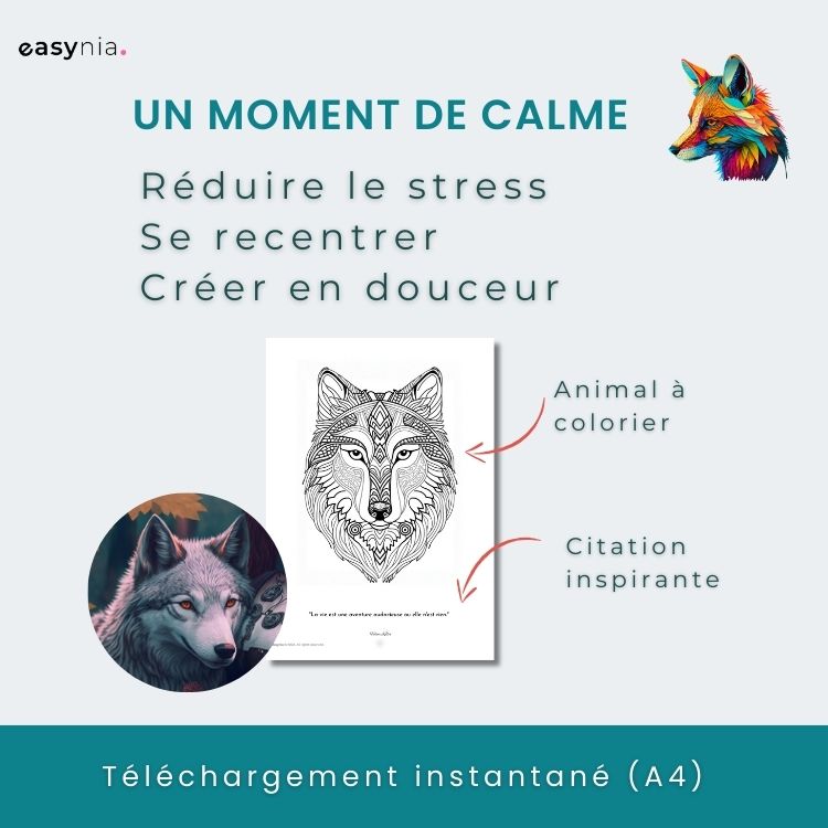 Livre de Coloriage Relaxant pour Adultes: Fées & Animaux