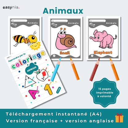 Super Pack Éducatif (2-3 ans)