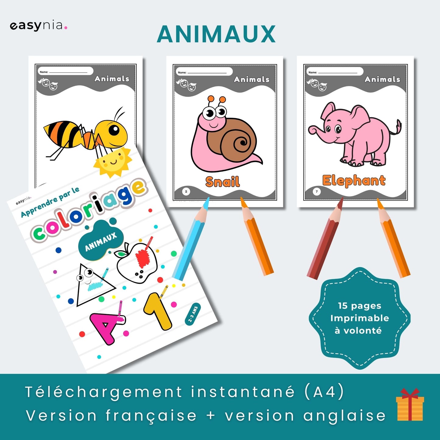 Super Pack Éducatif (2-3 ans)